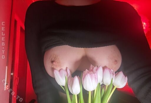 dollersthehoe
