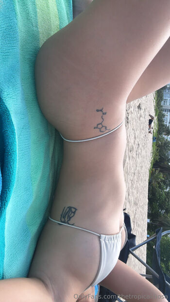 thetropicaldiosa